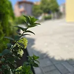 естрела * Ravda